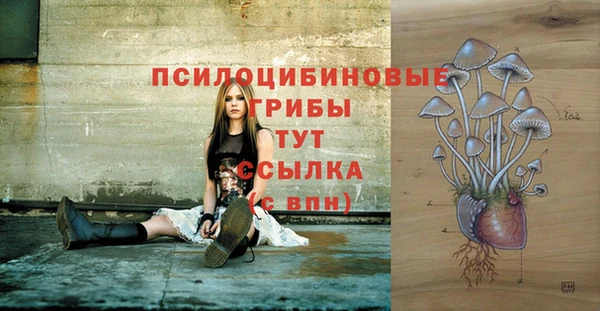 спиды Нея
