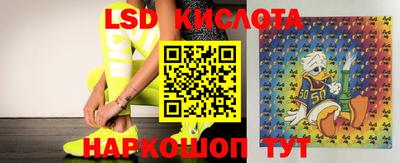 ПСИЛОЦИБИНОВЫЕ ГРИБЫ Дубна