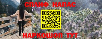 ПСИЛОЦИБИНОВЫЕ ГРИБЫ Дубна