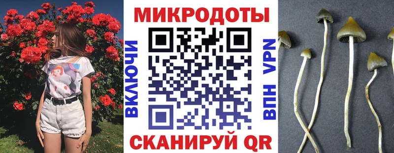 kraken зеркало  нарко площадка клад  Галлюциногенные грибы прущие грибы  что такое наркотик  Сокол 