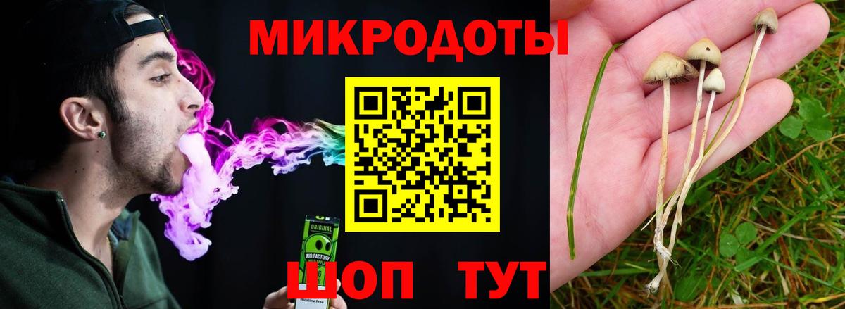 Псилоцибиновые грибы Magic Shrooms Сокол